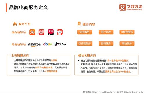 2023年中國(guó)品牌電商服務(wù)行業(yè)研究報(bào)告 信息咨詢(xún)服務(wù)的價(jià)值重塑與發(fā)展洞察